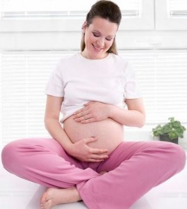 stages of pregnancy_480_s