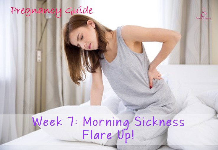 morning sickness during first trimester