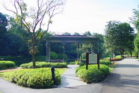 Botanic Garden 1_480