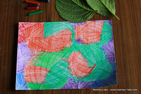 Botanic Garden Art Activity_480