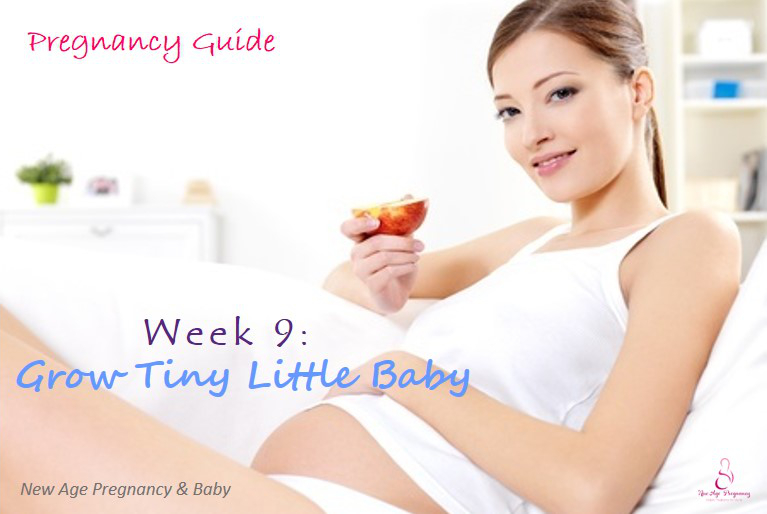 first trimester of pregnancy