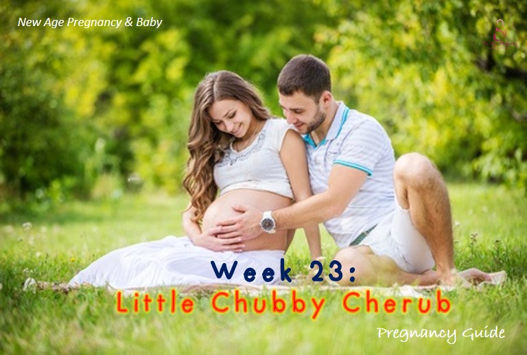 week to week pregnancy guide