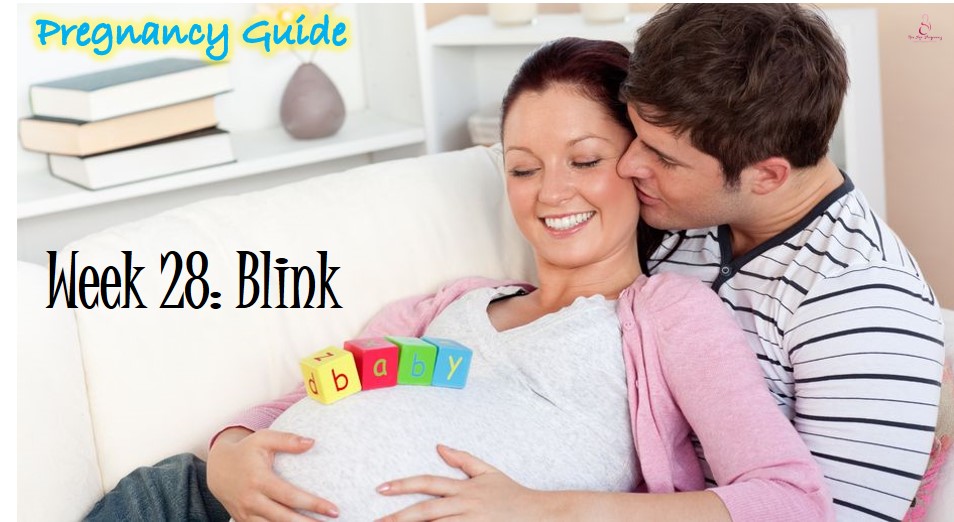 pregnancy guide 