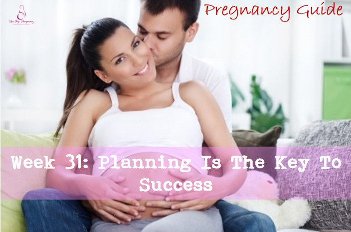 pregnancy guide