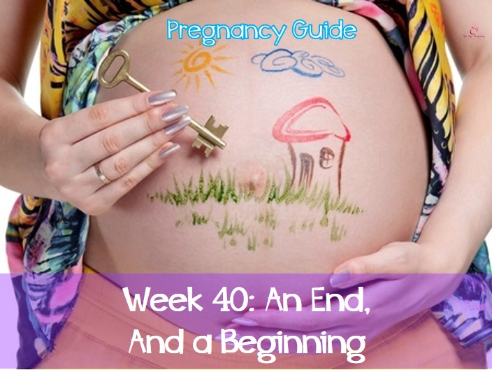 pregnancy guide