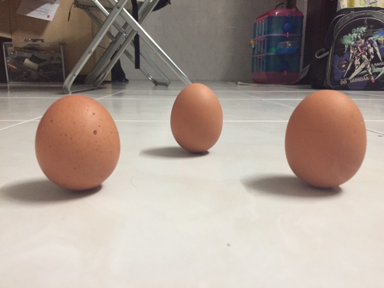 eggs can stand