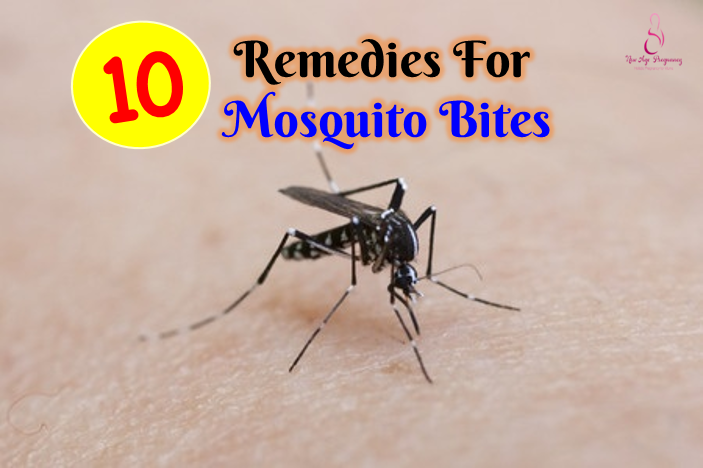 natural remedies to treat mosquito bites