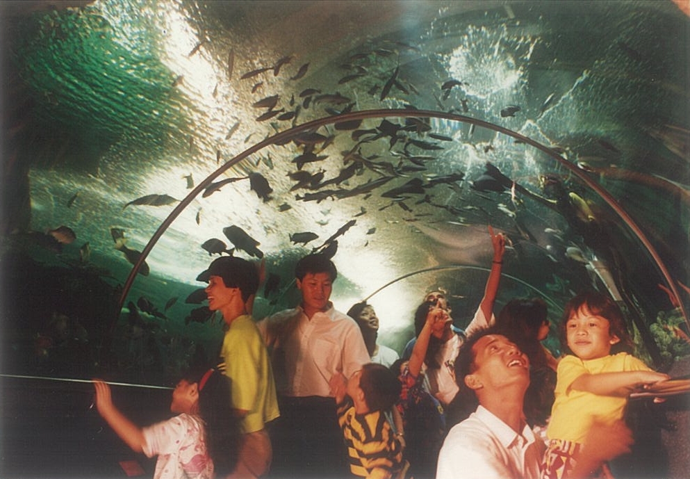 Launch of Underwater World Singapore in 1991