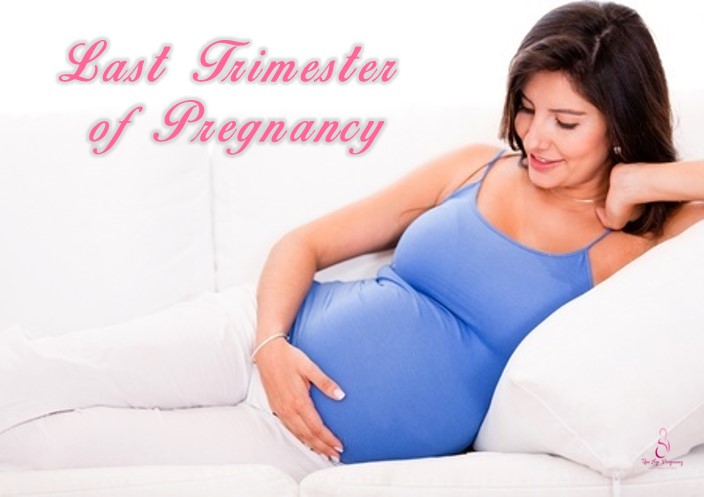 pregnancy precautions