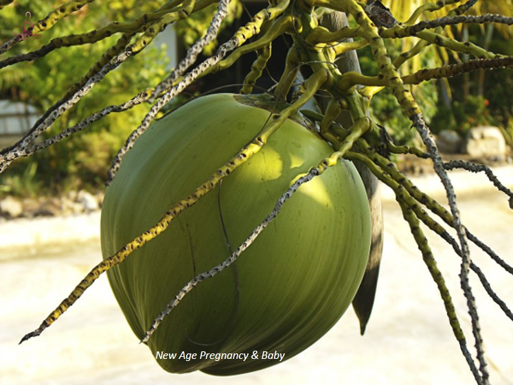 can pregnant woman drink coconut juice