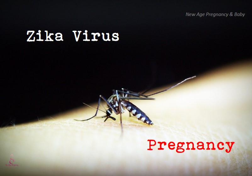 zika virus in Singapore