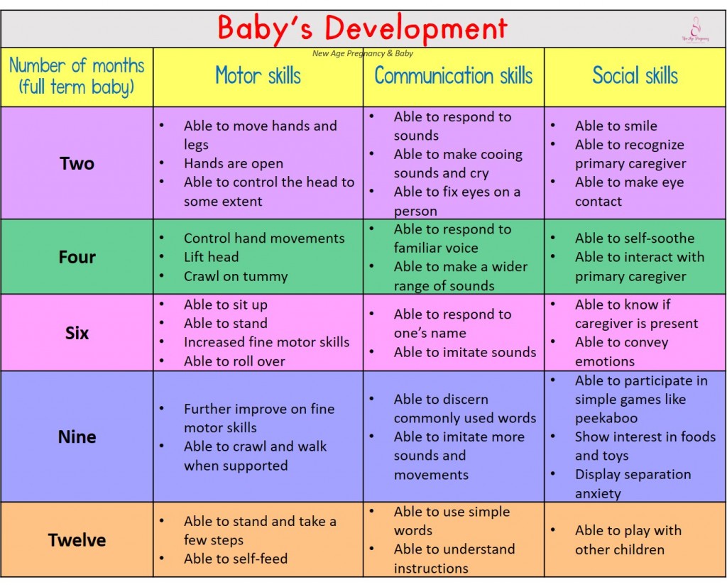 Premature Baby Food Chart